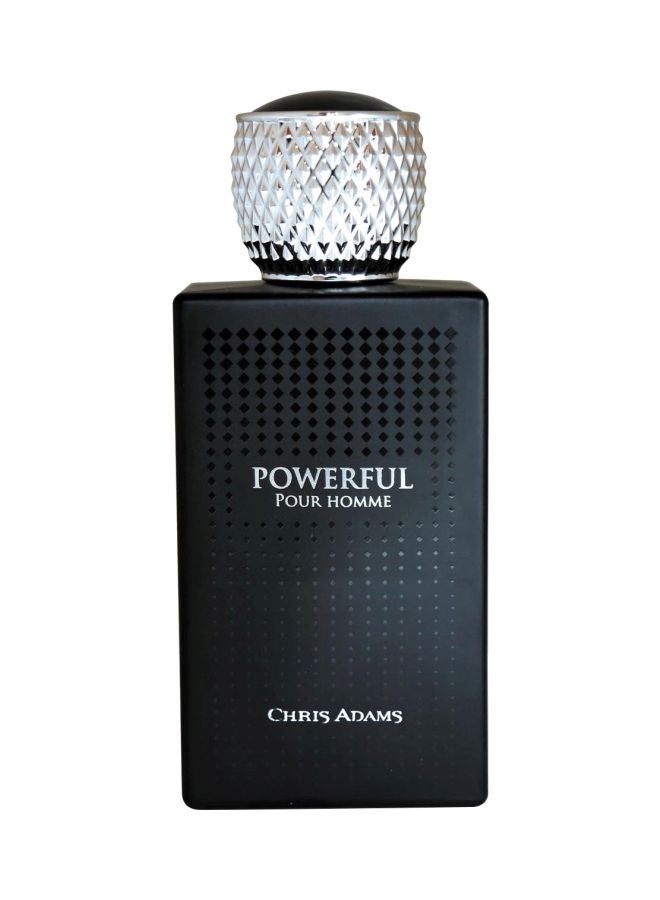 Chris Adams Powerful EDP 100ml  - Image 1
