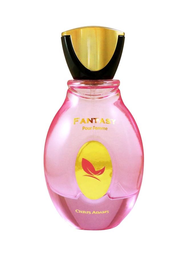 Chris Adams - Fantasy EDP 100ml - Image 1