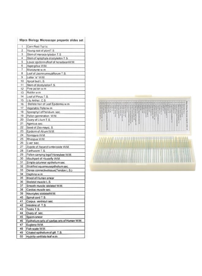 50-Piece Portable Educational Microscope Slides Clear/Beige 22cm  - Image 5