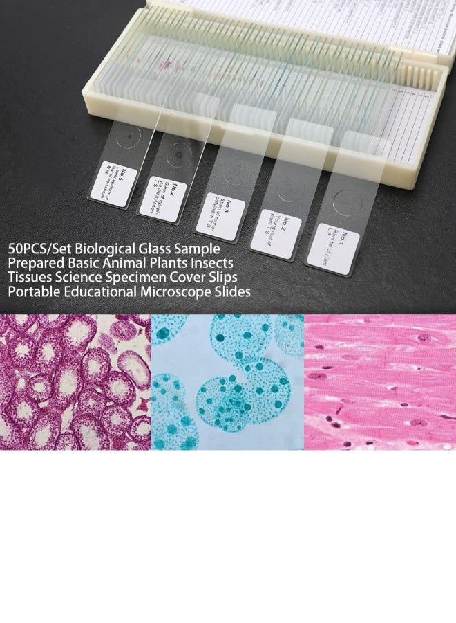 50-Piece Portable Educational Microscope Slides Clear/Beige 22cm  - Image 2