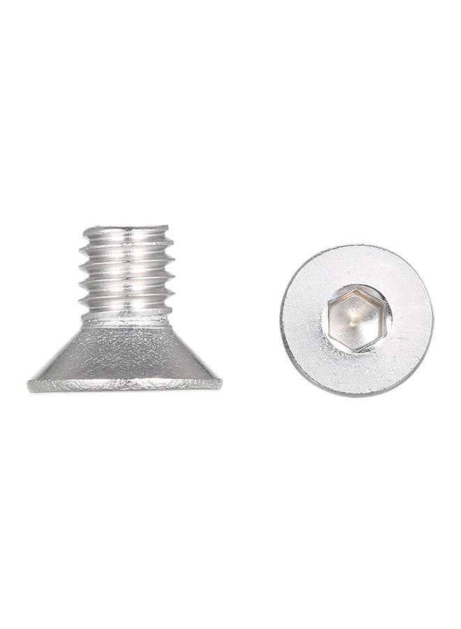 Stainless Steel Socket Cap Hex Screw Bolt Silver M6 x 10  - Image 1