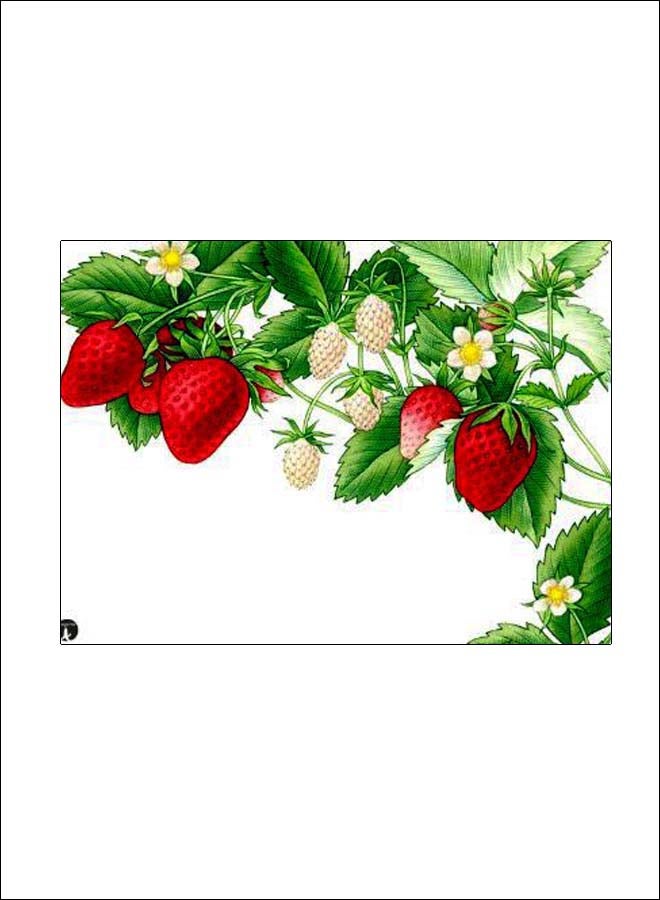 BP Printed Anti-Slip Gaming Mouse Pad Multicolour - Image 1