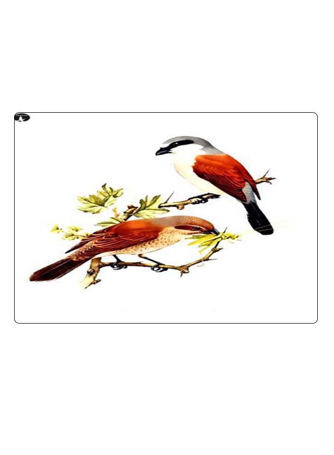 BP Printed Anti-Slip Gaming Mouse Pad Multicolour - Image 1