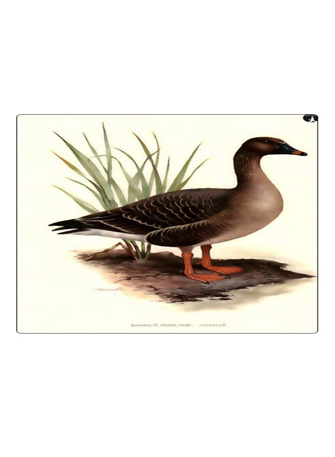 BP Printed Anti-Slip Gaming Mouse Pad Multicolour - Image 1