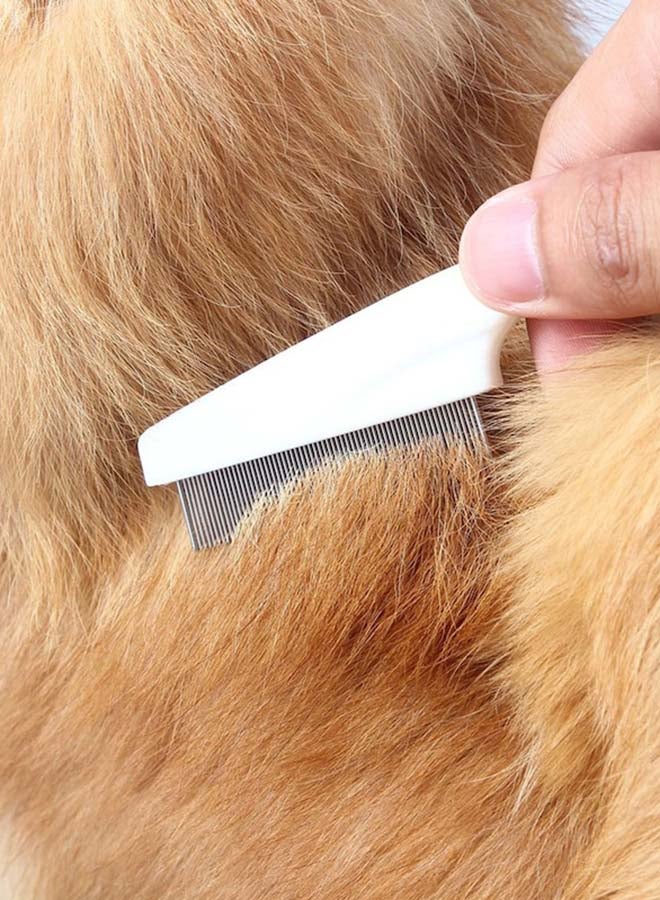 بيوينتي مشط للتخلص من الحشرات وتشذيب شعر الكلاب أبيض/فضي 14Ø³Ù†ØªÙŠÙ…ØªØ± - Image 5