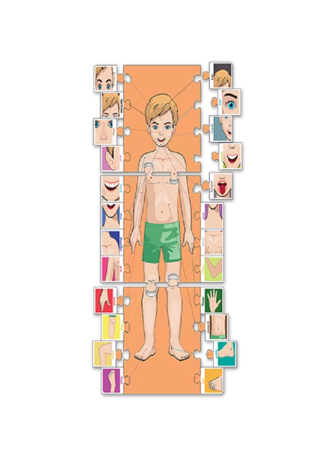 Fluffy Bear 27-Piece My Body Parts Jigsaw Puzzle - Image 2