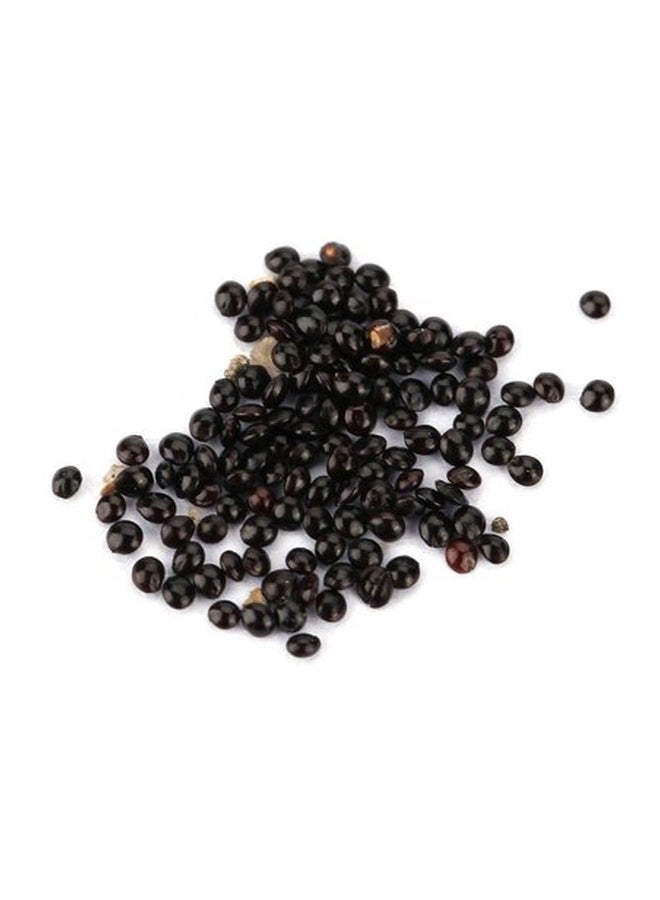 100-Piece Dwarf Banana Tree Seeds Black - Image 1