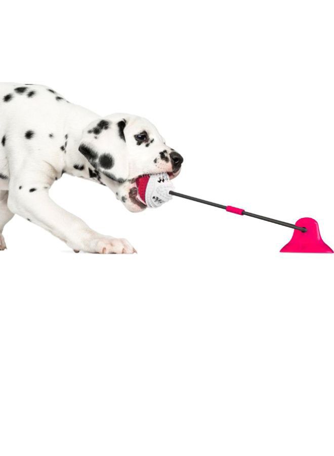 Dog Bite Training Ball Multifunction Chew Toy Red/Black/White - Image 2