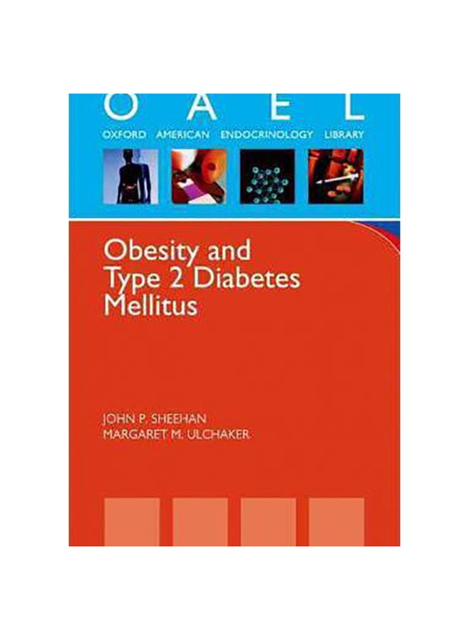 Obesity And Type 2 Diabetes Mellitus Paperback English by John P. Sheehan - 1-Dec-11