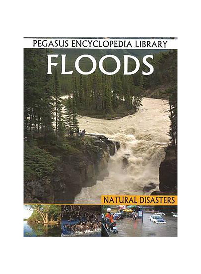 Floods paperback english - 7-Sep-11 