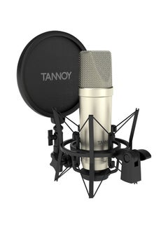 Large Diaphragm Condenser Microphone With Recording Package TM1-TNY Silver/Black