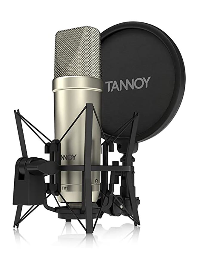 Tannoy - Large Diaphragm Condenser Microphone With Recording Package TM1-TNY Silver/Black - Image 1
