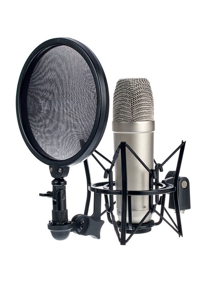 Tannoy - Large Diaphragm Condenser Microphone With Recording Package TM1-TNY Silver/Black - Image 1