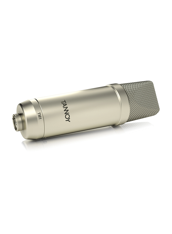 Tannoy - Large Diaphragm Condenser Microphone With Recording Package TM1-TNY Silver/Black - Image 1