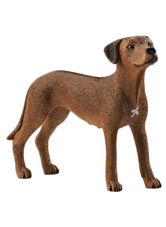 Schleich Rhodesian Ridgeback Animal Figure - Image 1