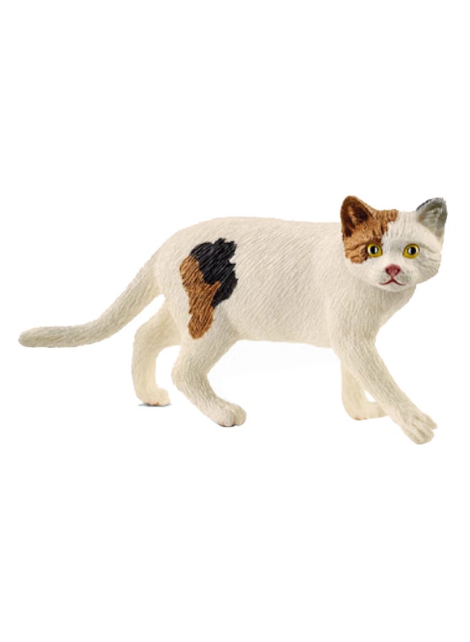 Schleich American Shorthair Cat Animal Figure - Image 2
