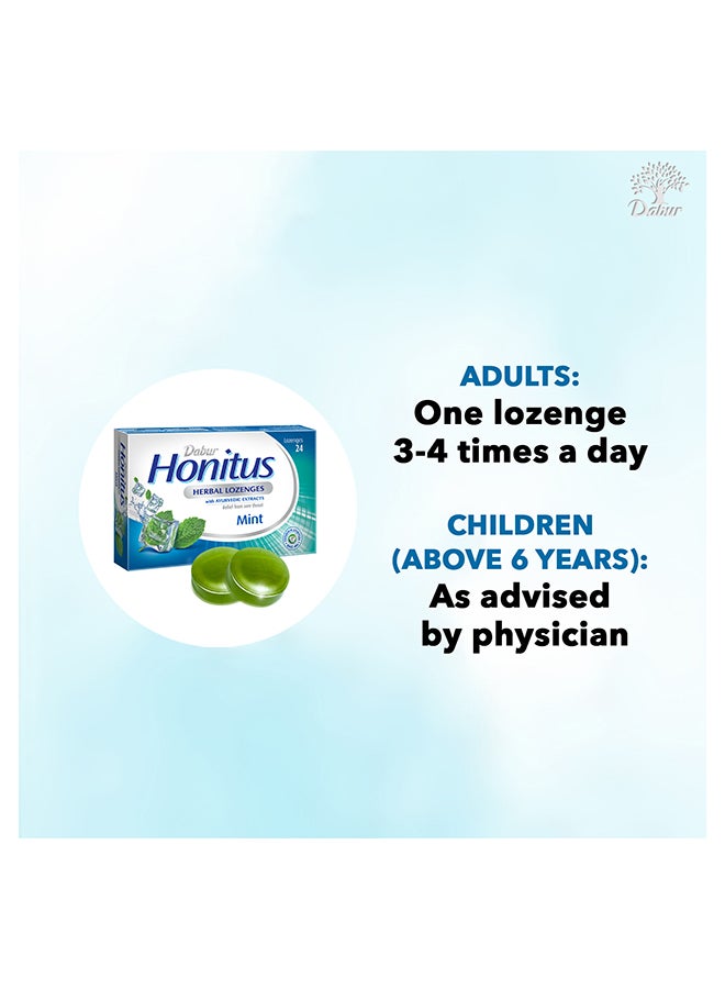 دابر مجموعة أقراص استحلاب عشبية هونيتوس بنكهة النعناع من 24 قطعة - Image 4