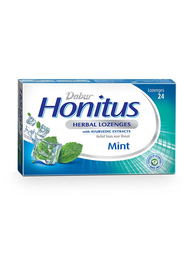 دابر مجموعة أقراص استحلاب عشبية هونيتوس بنكهة النعناع من 24 قطعة - Image 1