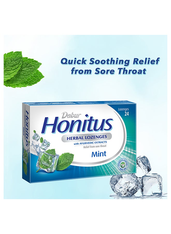 دابر مجموعة أقراص استحلاب عشبية هونيتوس بنكهة النعناع من 24 قطعة - Image 2