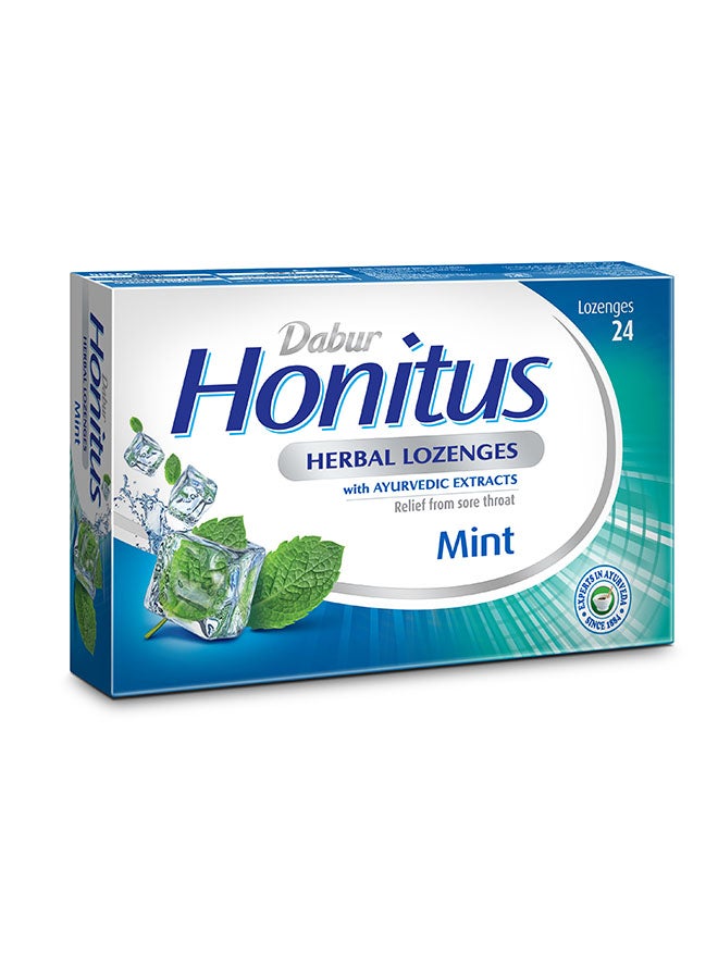 دابر مجموعة أقراص استحلاب عشبية هونيتوس بنكهة النعناع من 24 قطعة - Image 5