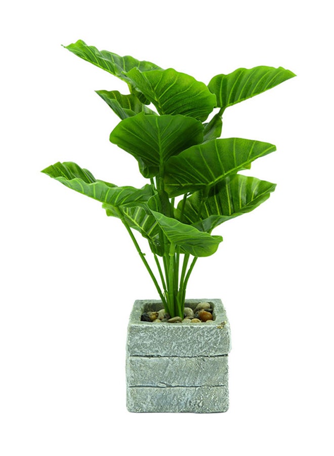 بابازام نبات صناعي مع مزهرية لتزيين الطاولة أخضر/رمادي - Image 2