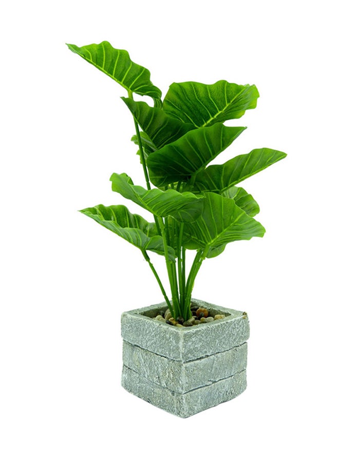 بابازام نبات صناعي مع مزهرية لتزيين الطاولة أخضر/رمادي - Image 3