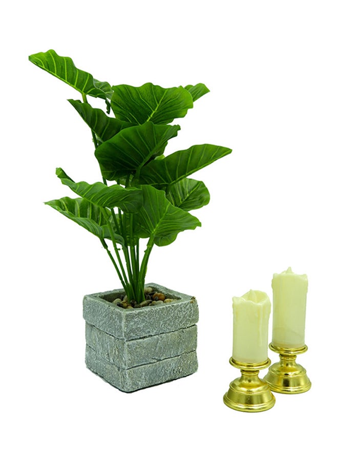 بابازام نبات صناعي مع مزهرية لتزيين الطاولة أخضر/رمادي - Image 5