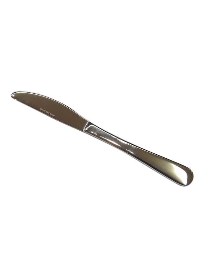 Winsor Fellini Dessert Knife Silver 13cm 