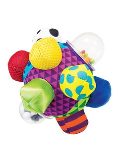 Developmental Bumpy Ball