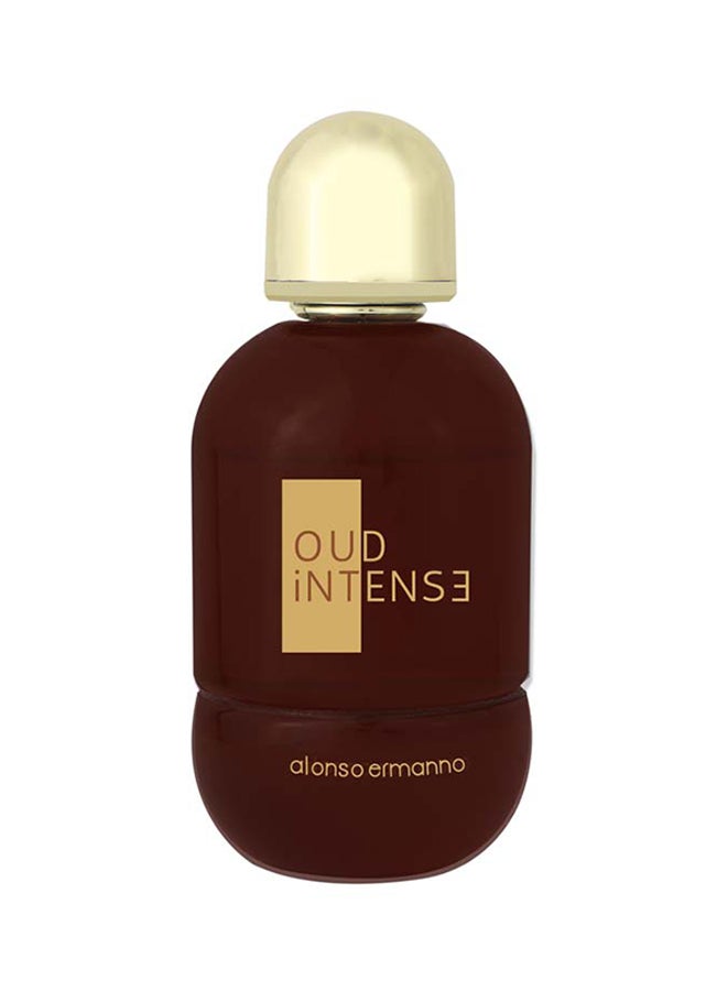 Alonso Ermanno Oud Intense EDP 100ml UAE | Dubai, Abu Dhabi