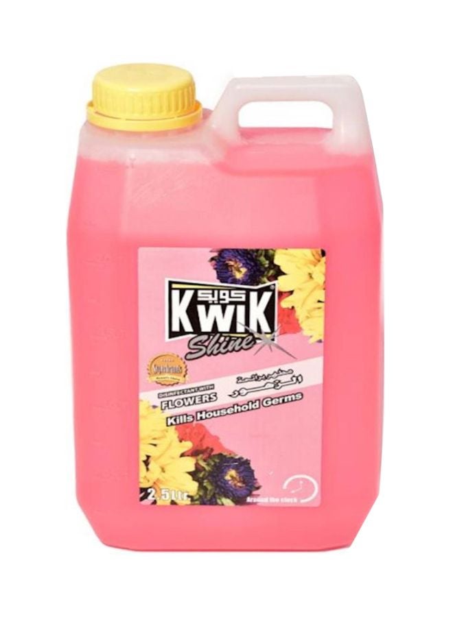 Disinfectant For Car