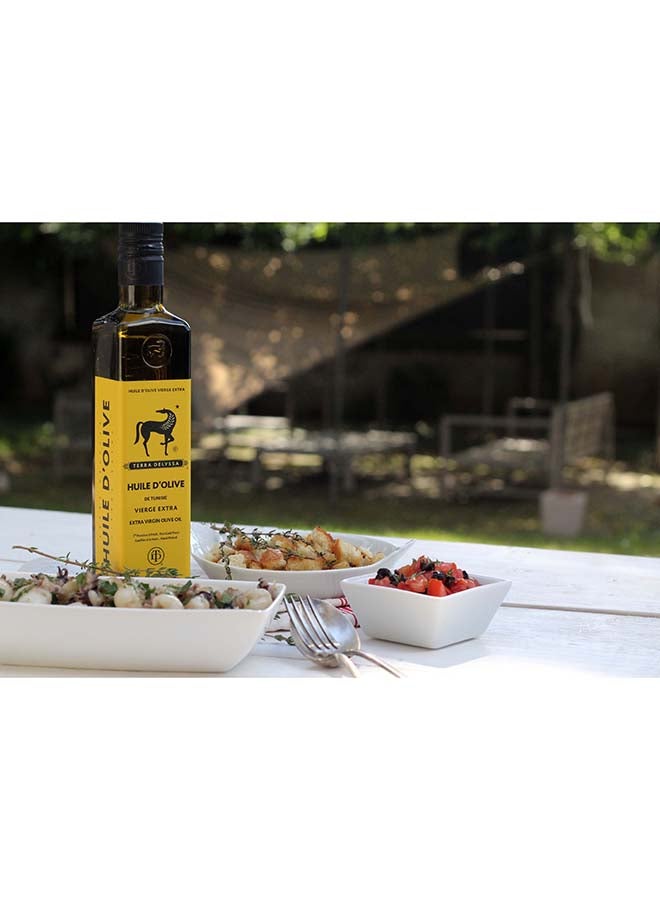 TERRA DELYSSA - Extra Virgin Olive Oil 1Liters - Image 1