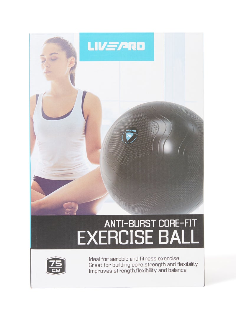 ليف برو كرة تمارين رياضية مضادة للتمزق 75سم - Image 3