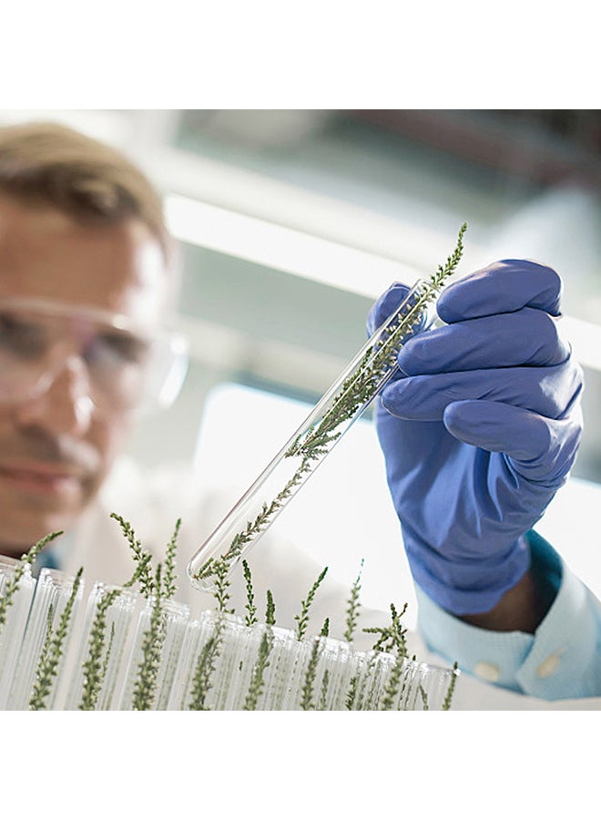 Pair Of 50 Powder-Free Sterile Food Grade Disposable Gloves Purple L - Image 4