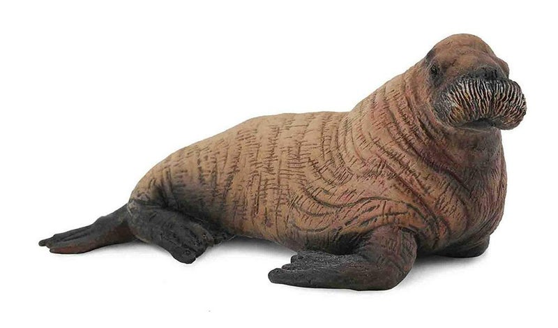 Walrus Calf Figure - Image 2