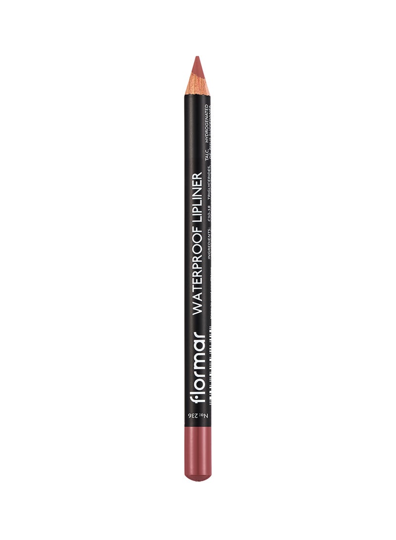 Waterproof Lipliner Pencil 236 Nut Cookie - v1593578664/N38923093A_1