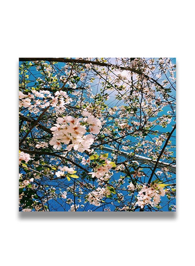 Flowers Themed Decorative Wall Art Painting With Hidden Frame Multicolour 50 x 50cm