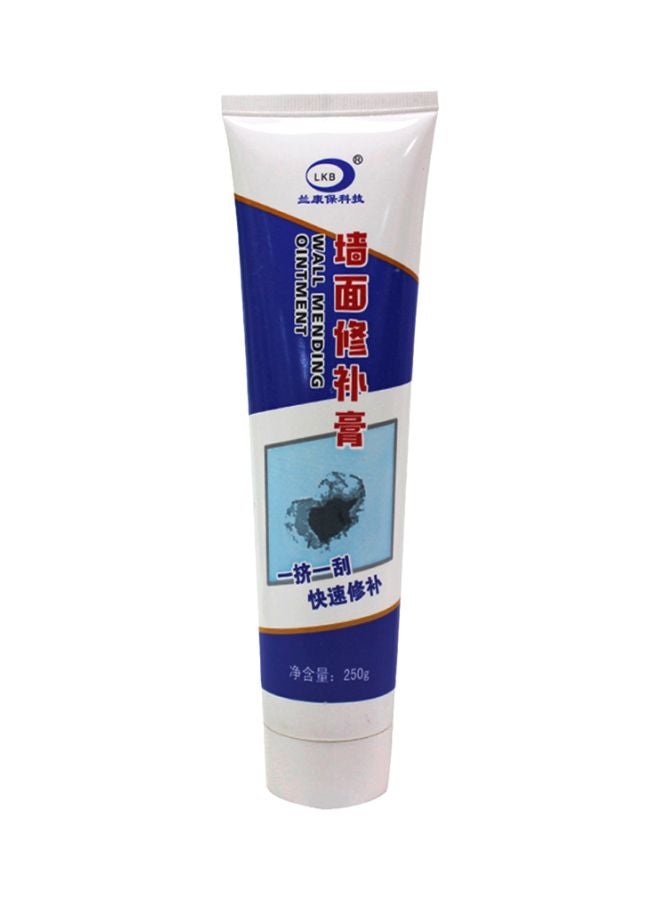 Waterproof Wall Repair Cream White 250grams  - Image 1
