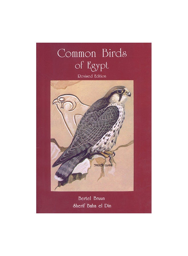 Common Birds Of Egypt Paperback English by Bertel Bruun - 31 December 1994 