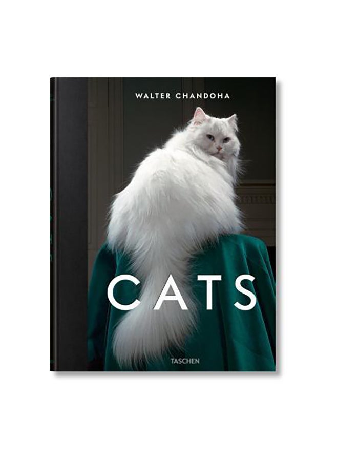Cats paperback english - 43605
