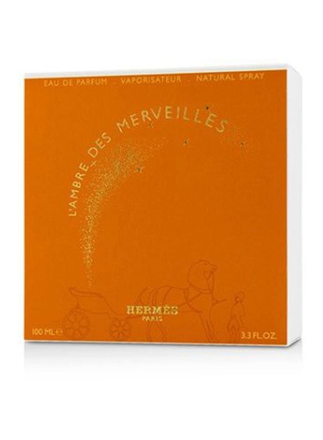 HERMES L’Ambre Des Merveilles EDP 100ml - Image 3