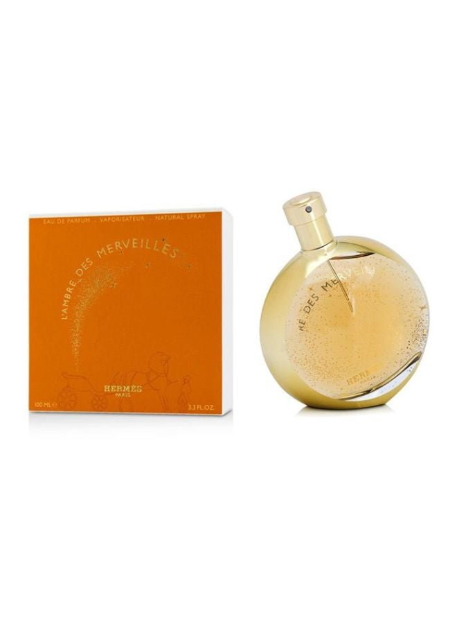 HERMES L’Ambre Des Merveilles EDP 100ml - Image 2