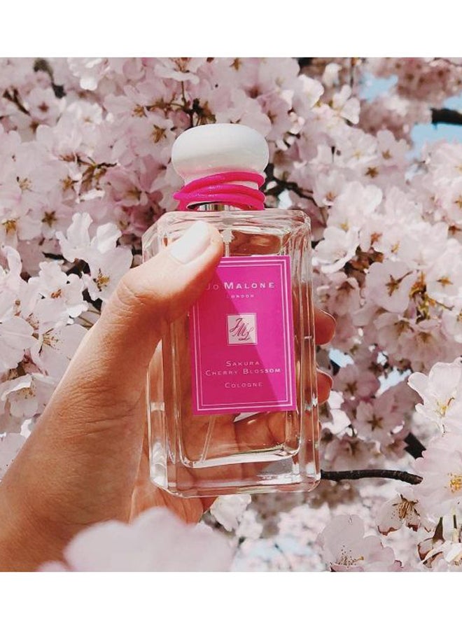 جو مالون كولونيا ساكورا بأزهار الكرز 100ملليلتر - Image 4