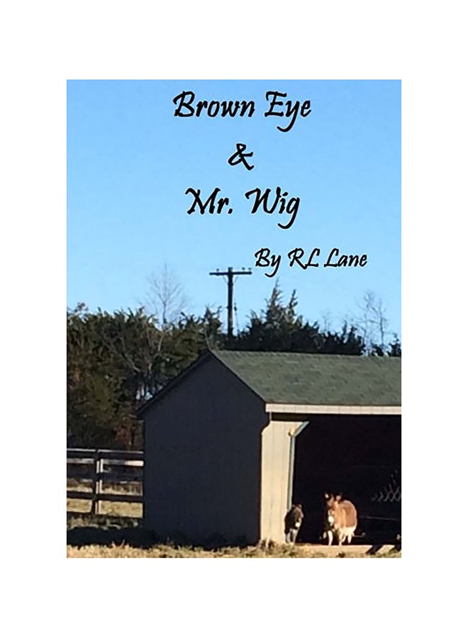 Brown Eye And Mr Wig paperback english 