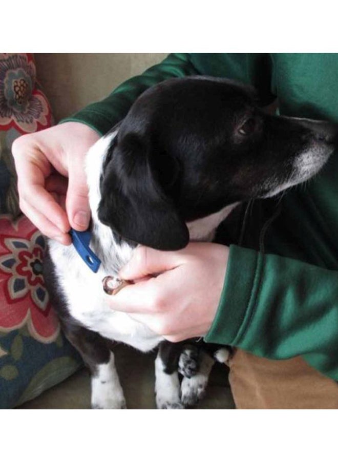 أوتاد فرشاة استحمام للعناية بالحيوانات الأليفة أزرق - Image 2