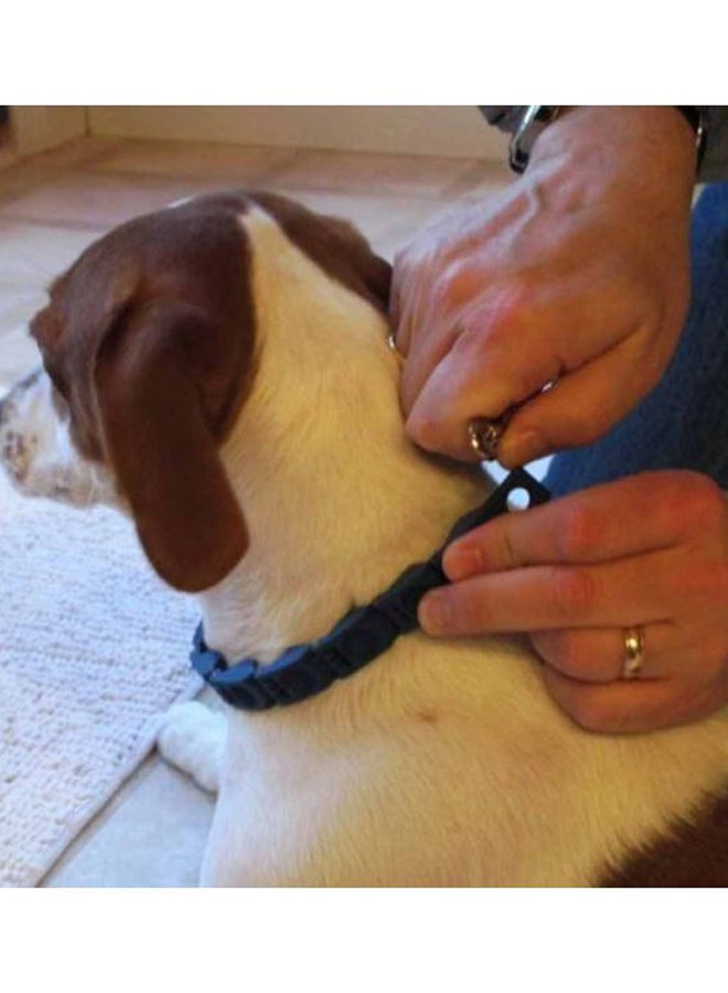 أوتاد فرشاة استحمام للعناية بالحيوانات الأليفة أزرق - Image 3