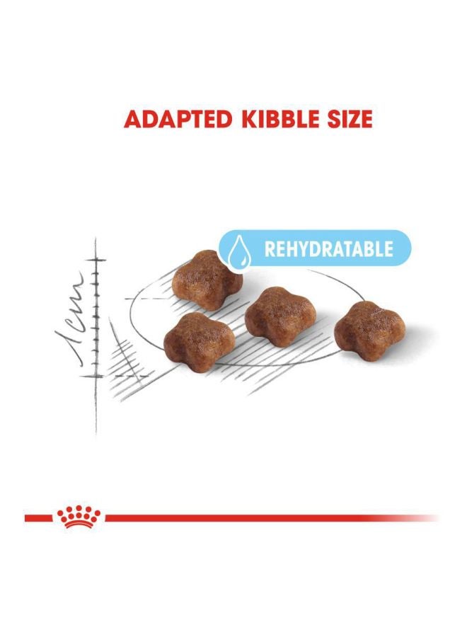 ROYAL CANIN Mother And Babycat Dry Food Multicolour 2kg - Image 2