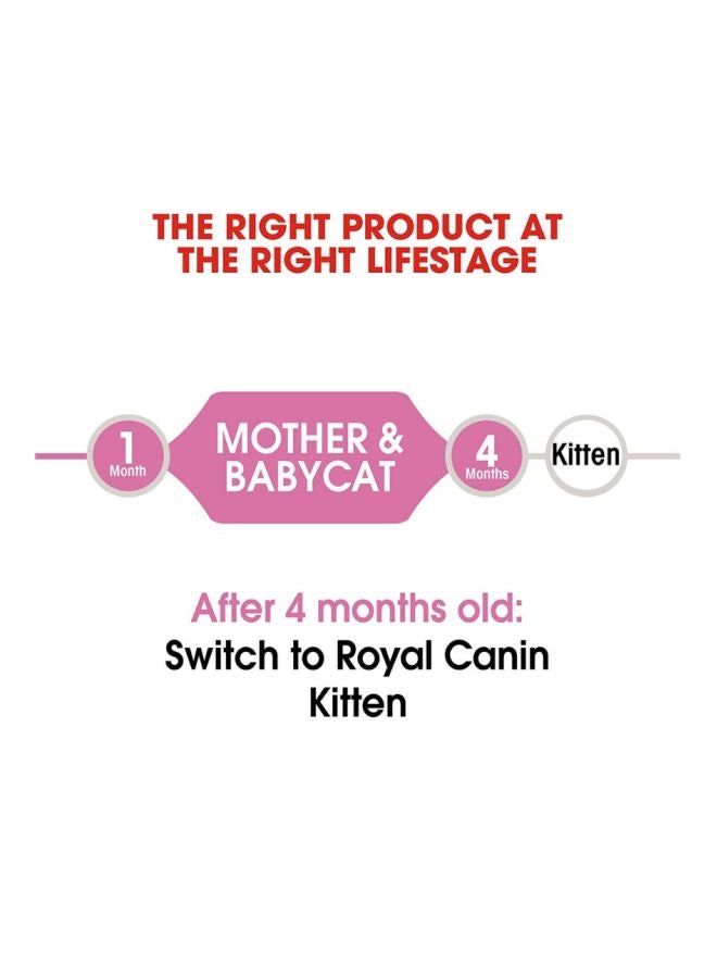 ROYAL CANIN Mother And Babycat Dry Food Multicolour 2kg - Image 3