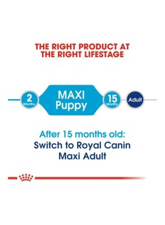 ROYAL CANIN SHN Maxi Adult Dry Food For Dog Brown 4kg  - Image 5