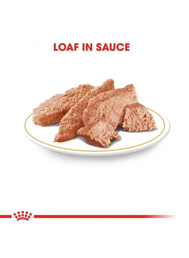 ROYAL CANIN Breed Health Nutrition Chihuahua Junior Food 1.5kg - Image 3